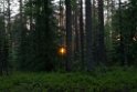 solopgang_FIN5678