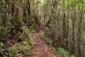 Mt. Kinabalu.20110224_5549