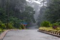 Rain.20110224_5389
