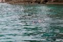 Snorkling.20110308_6910