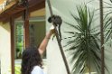 Marmoset Canaster-02