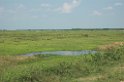 Pantanal landskan01-01