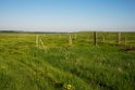 Grassland_DSC523120140605