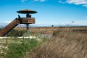 Ebro-deltaet.20140326_8157