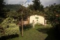 Cerulean Warbler lodge.20160108_6938