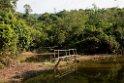 El Paujil Reserve.20160110_6828