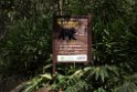 Montezuma road.20160121_6287