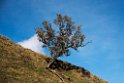 Paramo del Ruiz.20160116_6607