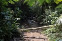 Rio Claro.20160112_6816