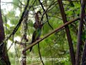 DSCN2047b