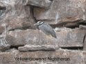 DSCN2197a