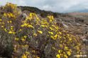 Bale Mountains.201019jan_3358