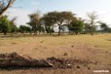 Bishangeri Lodge.201017jan_3380