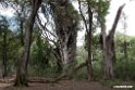 Bishangeri Lodge.201017jan_3395