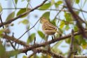 Juba Weaver.201022jan_3676