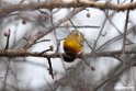 Juba Weaver.201022jan_3910