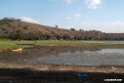 Lake Awasa .201024jan_4427