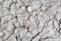 Lake Shalla.201026jan_5060