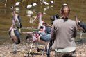 Marebou stork.201016jan_3022