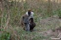 Marekat.201024jan_4435