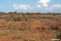 Yabello area .201022jan_3310