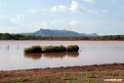 Yabello area .201023jan_4466