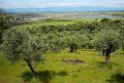 SolcelleanlægArrocampo.20140422_5567