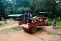 Ankasa lodge.201123nov_3307