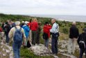 St. Karlsö.20110621_7873