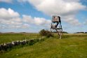 Stockvikan.20110620_7646