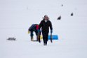Ørnefodring20170204_DSC5099