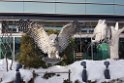 Airport.20170211_082624