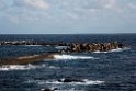 HachijoJima20170204_DSC5021