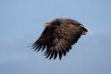 Havørn20170207_DSC5902