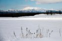 Hokkido20190209_DSC7237
