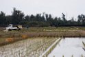 Kin Ricefields20170215_DSC8387