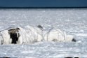 Parkice20170207_DSC5911