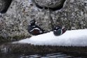 Strømand20170208_DSC6193