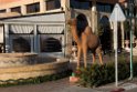 Guelmim hotel.20160311_7228