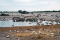 Okaukuejo watherhole Etosha.20141108_1208