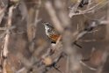 Rockrunner.20141103_0426