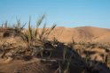 Sand dunes near Walvis Bay.20141105_1250