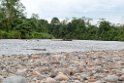 Kolu River.05jul2009_2553