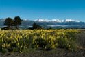 Kaikoura.20121121_6086