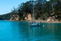 Kawau Reserve.20121116_5749