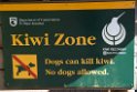 Kiwi Zone.20121113_5298