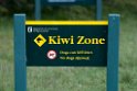 Kiwi zone.20121128_7276