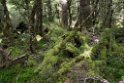 Monkey Creek.20121124_6822
