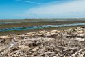 Waikanae Estuary.20121120_6048