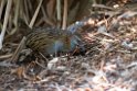 Weka.20121116_5766